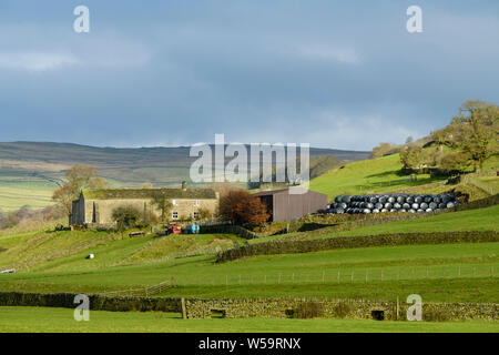 Terreni agricoli, edifici in pietra e balle avvolte in nero nella panoramica e collinare campagna Yorkshire Dales - Barden, Wharfedale, Inghilterra. Foto Stock