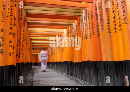 Una giovane donna cammina tra il torii gates a Fushimi Inari Shrine in Kyoto, Giappone. Il santuario di testa del dio Inari situato nel Protocollo di Kyoto la Fushim Foto Stock