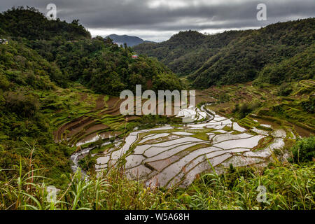 La Cordillera Mountains e terrazze di riso vicino Batad, Luzon, Filippine Foto Stock