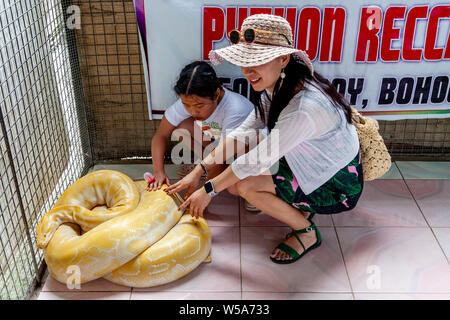 I visitatori di un mini zoo toccare un albino Burmese Python ad una conservazione Zoo, Bohol, Filippine Foto Stock