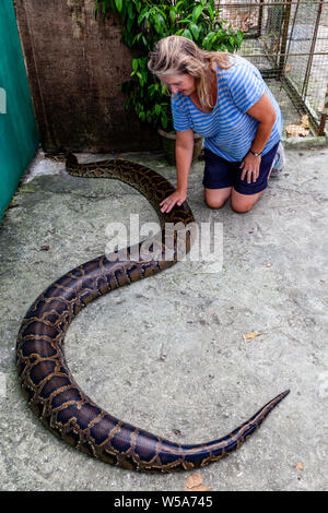 Un visitatore femmina accarezzare un serpente di grandi dimensioni, lo Zoo di conservazione, Bohol, Filippine Foto Stock