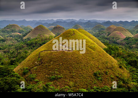 Il Chocolate Hills, Carmen, Bohol, Filippine Foto Stock