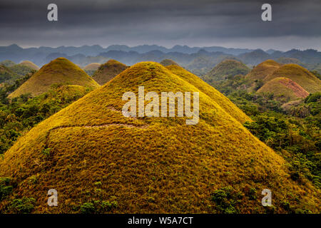 Il Chocolate Hills, Carmen, Bohol, Filippine Foto Stock