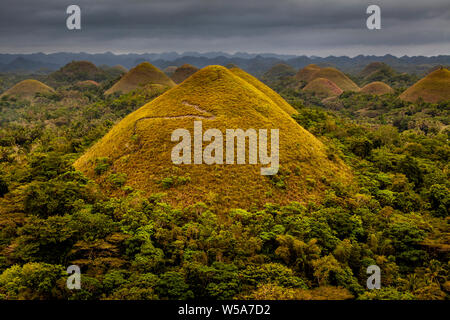 Il Chocolate Hills, Carmen, Bohol, Filippine Foto Stock