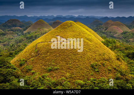 Il Chocolate Hills, Carmen, Bohol, Filippine Foto Stock