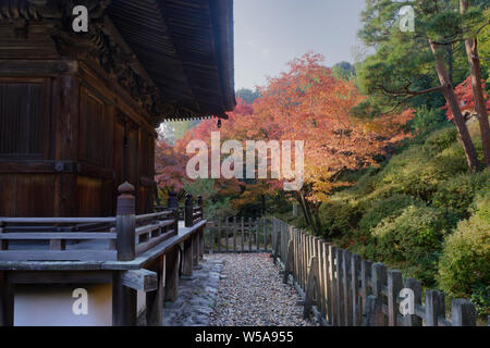 Colore di autunno in Jojakko-ji il tempio di Arashiyama, Kyoto, Giappone. Foto Stock