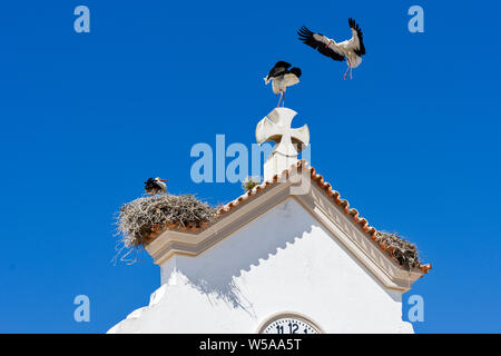 I nidi e le cicogne sul tetto della cappella della Madonna degli afflitti in Olhao, Algarve, PORTOGALLO Foto Stock