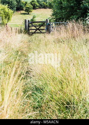 Un sentiero erboso che conduce ad un cancello in legno in estate in Cotswolds. Foto Stock