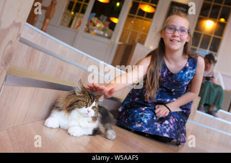 Ragazza come accarezzare un gatto in un gatto di Tokyo cafe, a Tokyo in Giappone. Foto Stock