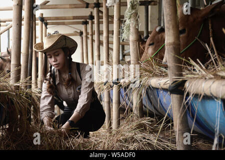 (190727) -- WEST JAVA, luglio 27, 2019 (Xinhua) -- una ragazza alimenta le vacche per la imminente Eid al-Adha festival a una mucca fienile in Depok, West Java, Indonesia, il 27 luglio 2019. I musulmani in Indonesia prepararsi a celebrare Eid al-Adha, che cade il 11 agosto di quest'anno. (Foto di Dedi Istanto/Xinhua) Foto Stock