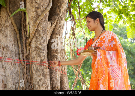 Donna adorare un albero sacro Foto Stock