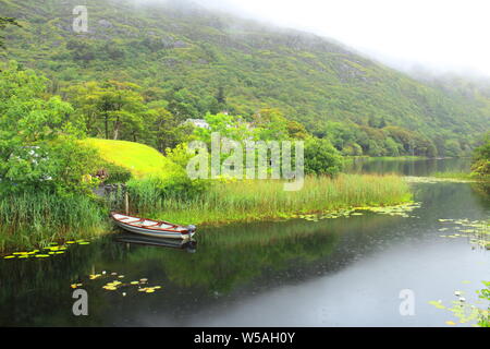 Connemara Foto Stock