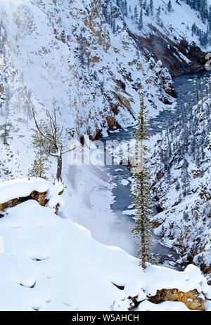 Stati Uniti d'America. Il Wyoming. Parco Nazionale di Yellowstone. Fiume burrone in inverno la neve. Foto Stock