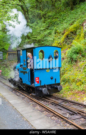 Il 1918 0-4-0WT steam loco 'Douglas' a Nant Gwernol stazione sul Talyllyn - il primo al mondo il patrimonio conservato ferroviarie, Gwynedd, Wales, Regno Unito Foto Stock