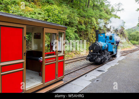 Il 1918 0-4-0WT steam loco 'Douglas' a Nant Gwernol stazione sul Talyllyn - il primo al mondo il patrimonio conservato ferroviarie, Gwynedd, Wales, Regno Unito Foto Stock