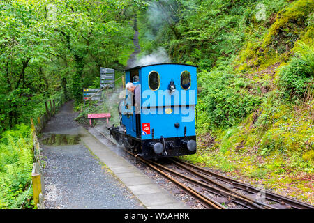 Il 1918 0-4-0WT steam loco 'Douglas' a Nant Gwernol stazione sul Talyllyn - il primo al mondo il patrimonio conservato ferroviarie, Gwynedd, Wales, Regno Unito Foto Stock