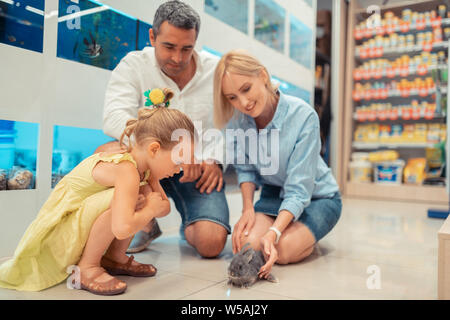 Ragazza guardando il piccolo coniglio grigio con il suo amore di genitori Foto Stock