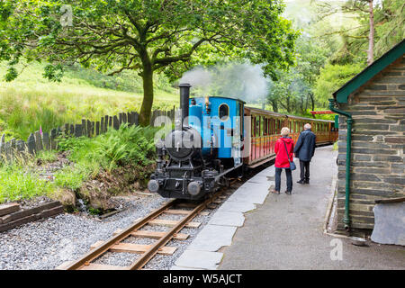 Il 1918 0-4-0WT steam loco 'Douglas' pause a Dolgoch stazione sul Talyllyn - il primo al mondo il patrimonio conservato ferroviarie, Gwynedd, Wales, Regno Unito Foto Stock