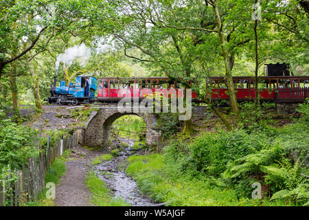 Il 1918 0-4-0WT steam loco 'Douglas' lasciando Dolgoch stazione sul Talyllyn - il primo al mondo il patrimonio conservato ferroviarie, Gwynedd, Wales, Regno Unito Foto Stock