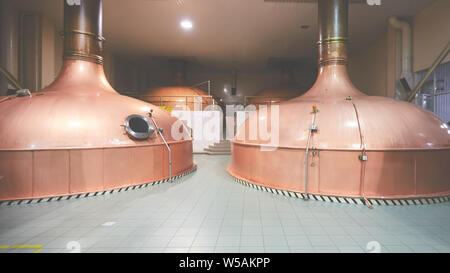 Attrezzature per la preparazione della birra. Linee di cooper serbatoi in birreria. Fabbricabile processo di brewage. Modalità di produzione di birra. Vista interna della moderna Foto Stock