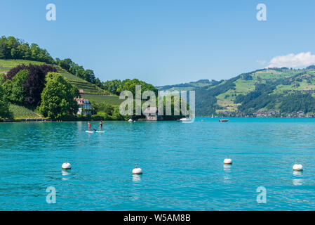 Paesaggio con il lago di Thun, Spiez, Oberland bernese, Svizzera, Europa Foto Stock