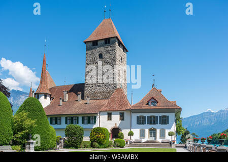 Il castello di Spiez, Spiez, Oberland bernese, Svizzera, Europa Foto Stock