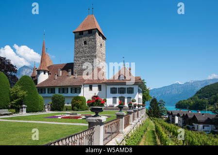 Il castello di Spiez, Spiez, Oberland bernese, Svizzera, Europa Foto Stock