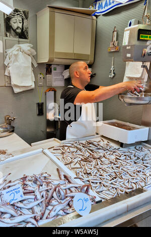 Il magnifico pesce e di mercato di shell in Andalusia Malaga, Spagna Foto Stock