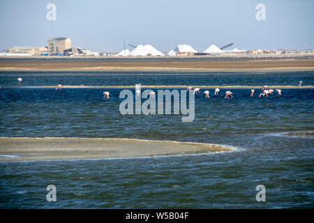 La Namibia sandwoch Harbour e Atlantic Skeleton Coast Foto Stock