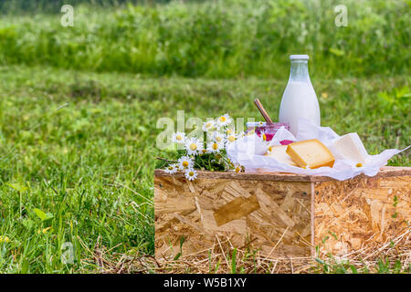 Prodotti lattiero-caseari latte, formaggio yogurt servita al tavolo da picnic in una fattoria di formaggio caws in background Foto Stock