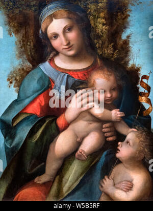 Madonna con Bambino e Neonato San Giovanni Battista di Correggio (Antonio Allegri da Correggio, 1489-1534), olio su pannello in legno, c.1514-15 Foto Stock