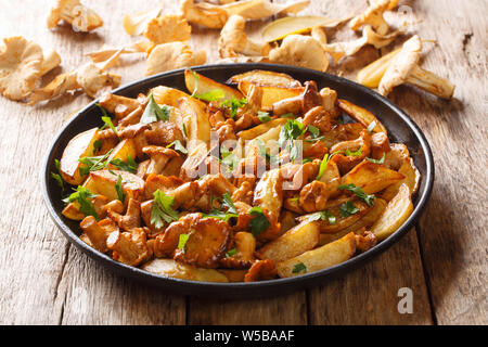 Pasto abbondante patate fritte con aglio e i funghi finferli close-up su una piastra sul tavolo orizzontale. Foto Stock