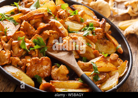 Deliziose frittelle di patate con i finferli close-up su una piastra sul tavolo orizzontale. Foto Stock