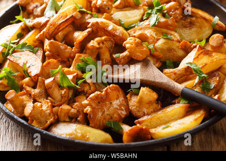 Patate fritte con funghi finferli close-up in una padella sul tavolo orizzontale. Foto Stock