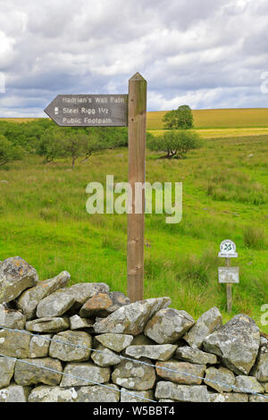 Il Vallo di Adriano percorso di orientamento Rigg in acciaio sul vallo di Adriano, Sito Patrimonio Mondiale dell'UNESCO, vicino a Hexham, parco nazionale di Northumberland, Inghilterra, Regno Unito. Foto Stock