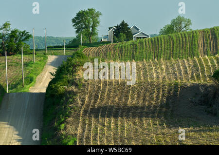 KS: Doniphan County, Area Wathena, Fiume Missouri campagna, una strada di ghiaia attraversa terreni agricoli vicino al Fiume Missouri Foto Stock