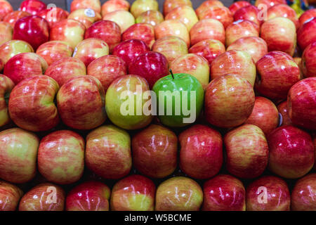 Verde isolato apple tra un gruppo di mele rosse rompendo il pattern. Foto Stock
