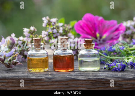 Tre bottiglie di olio essenziale di issopo, salvia sclarea, malva e origano in fiore in background Foto Stock