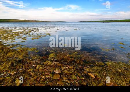 Suono di Acqua Santa Margherita la speranza, Orkney. Foto Stock