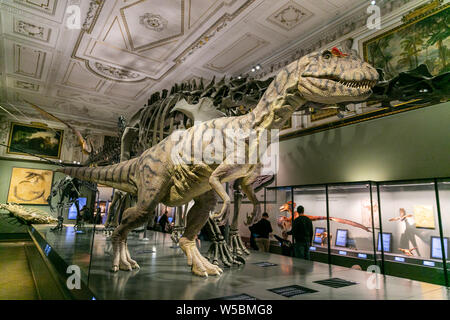 Vista interna del Museo di Storia Naturale di Vienna che è un grande e i più importanti musei di storia naturale di tutto il mondo si trova in Vienna, Austria Foto Stock