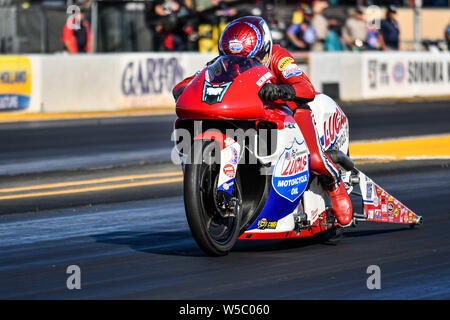 A Sonoma, California, Stati Uniti d'America. 27 Luglio, 2019. Hector Arana cavalca il suo olio Lucas pro-stock trascinare bike durante il NHRA Sonoma cittadini di Sonoma Raceway di Sonoma, California. Chris Brown/CSM/Alamy Live News Foto Stock