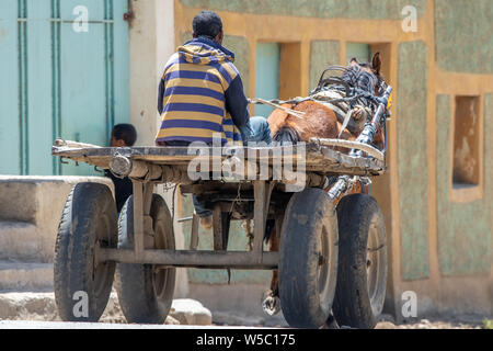 Uomo a cavallo sul retro del carro trainato da cavalli attraverso le strade di Danakil depressione , Etiopia Foto Stock