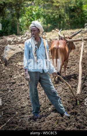 Un etiope stoicamente in piedi in un campo, Debre Berhan, Etiopia. Foto Stock