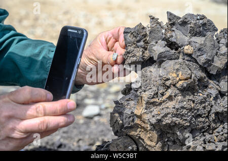 Un uomo che usa il telefono per fotografare un campione di suolo, Debre Berhan, Etiopia Foto Stock