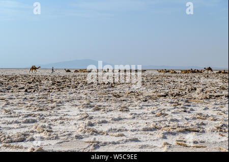 Una roulotte e minatori di sale nella depressione di Danakil , Etiopia Foto Stock