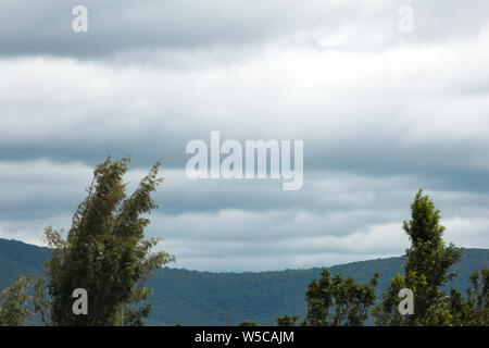 Bellissima vista della gamma della montagna di riserva Talamalai foresta, Hasanur, Tamil Nadu - lo stato di Karnataka frontiera, India Foto Stock