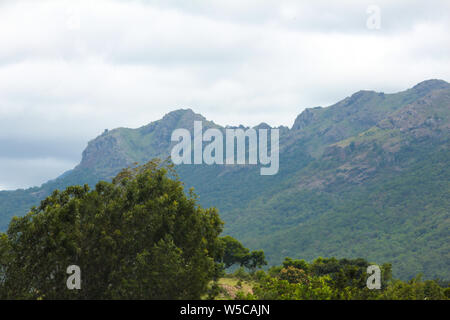 Bellissima vista della gamma della montagna di riserva Talamalai foresta, Hasanur, Tamil Nadu - lo stato di Karnataka frontiera, India Foto Stock