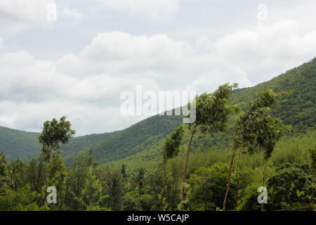 Bellissima vista della gamma della montagna di riserva Talamalai foresta, Hasanur, Tamil Nadu - lo stato di Karnataka frontiera, India Foto Stock