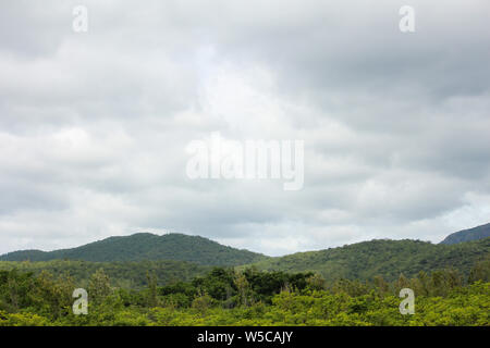 Bellissima vista della gamma della montagna di riserva Talamalai foresta, Hasanur, Tamil Nadu - lo stato di Karnataka frontiera, India Foto Stock