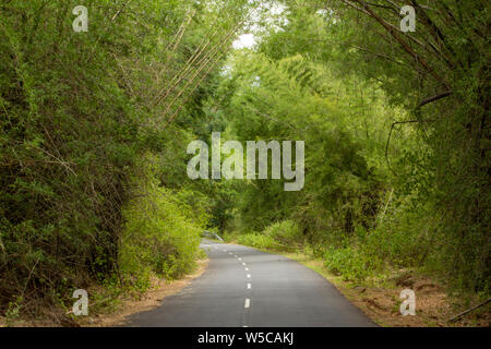 Bella Ghat strada lungo la gamma della montagna di riserva Talamalai foresta, Hasanur, Tamil Nadu - lo stato di Karnataka frontiera, India Foto Stock